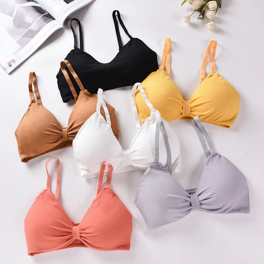 V Cup Light Padded Korean Style Women’s Cotton Seamless Bra